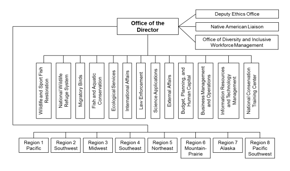 Portland Bureau Of Transportation Organizational Chart