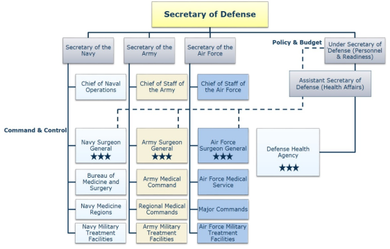 Bumed Organizational Chart