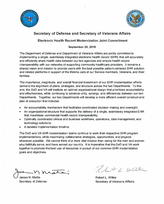 Disa Cio Org Chart