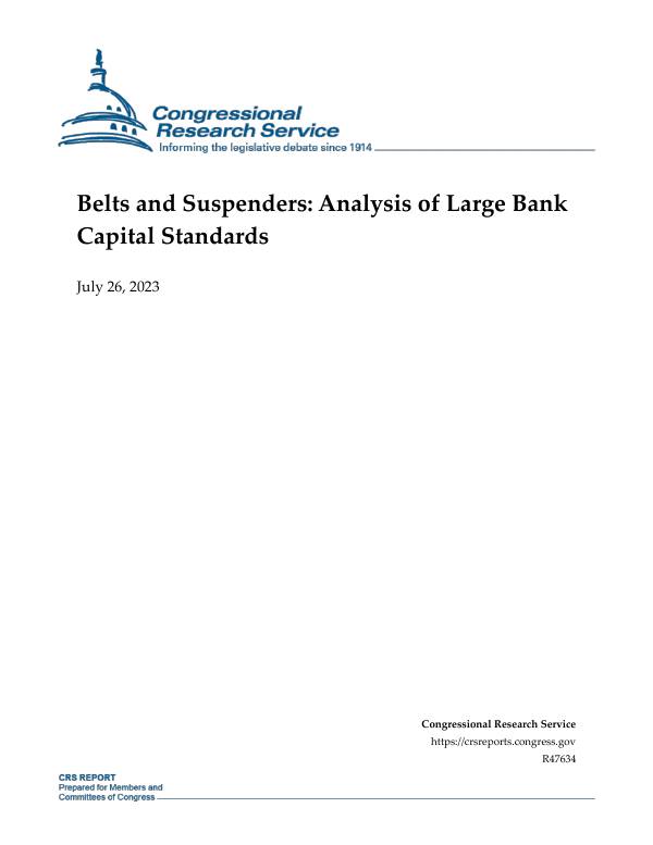 Belts and Suspenders Analysis of Large Bank Capital Standards